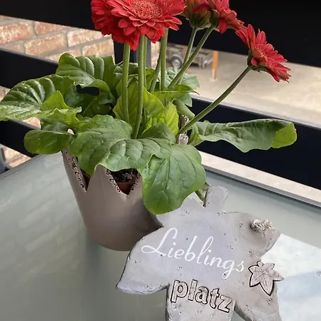 Apartment Meine Daire