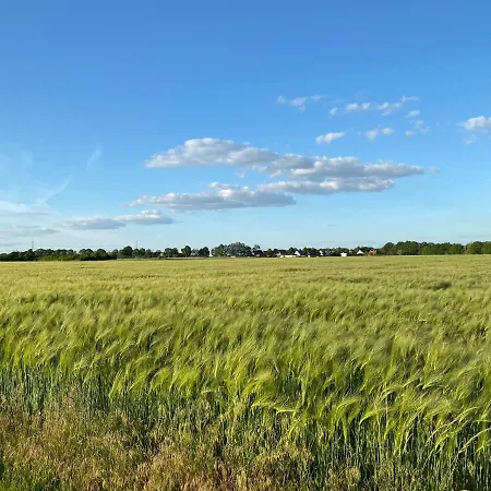 Daire Apartment Meine Meine