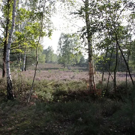 Daire Apartment Meine Meine