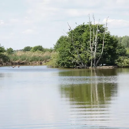 Apartment Meine * Meine